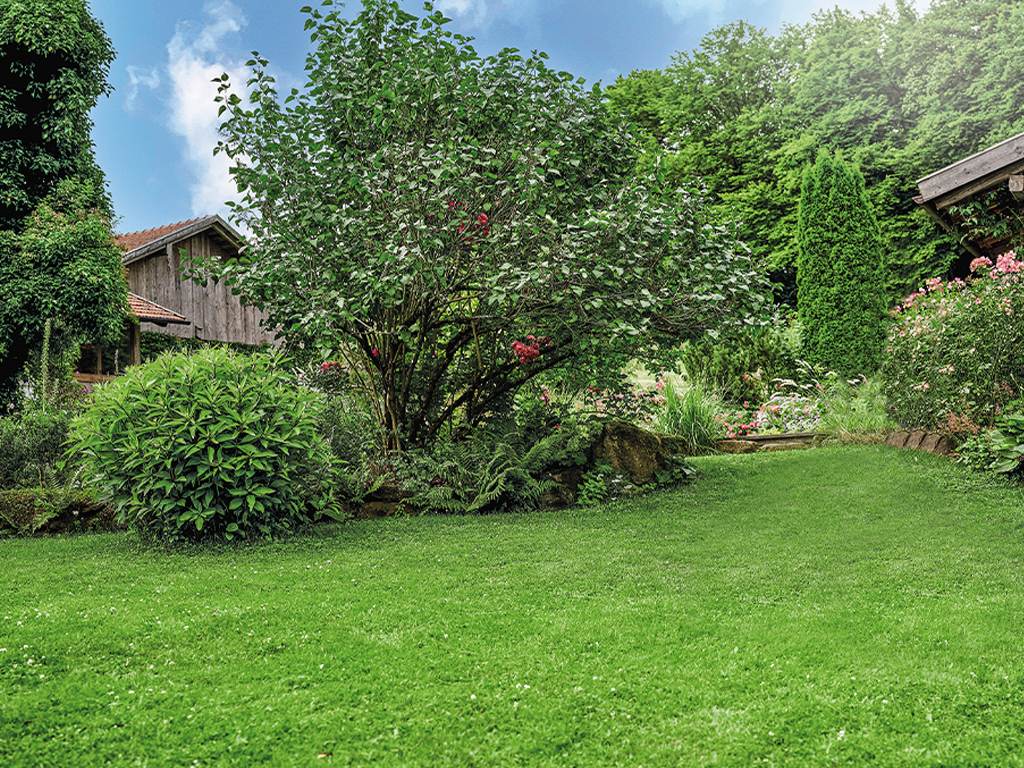 Planted garden with a healthy, green and well-kept lawn