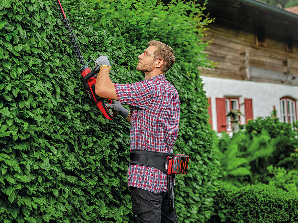 A man cuts a hedge with a hedge trimmer